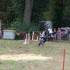 foire-haricots 2011-09-17et18
